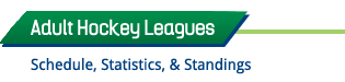 Adult Hockey Leagues