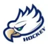 Eagles Hockey